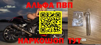 герыч Кингисепп
