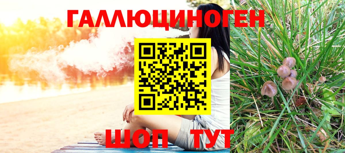 Галлюциногенные грибы мухоморы  Псилоцибиновые грибы мухоморы  закладка  Кропоткин  Вход с VPN 