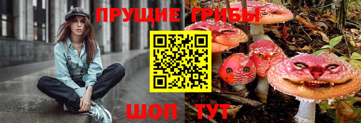 Псилоцибиновые грибы MAGIC MUSHROOMS Кропоткин
